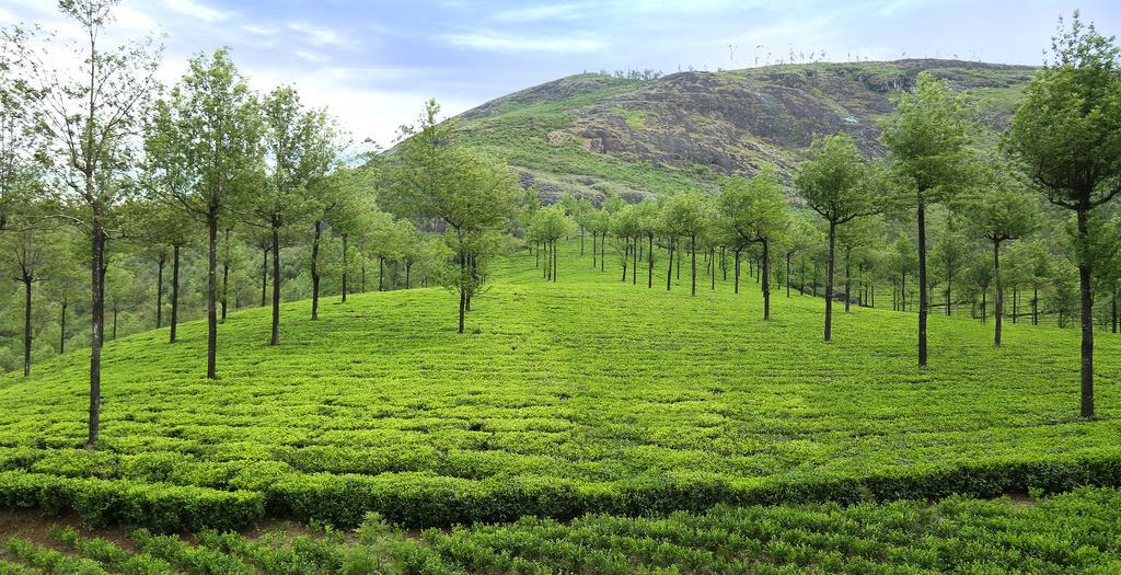 Elysium Garden Hotel Munnar Luaran gambar