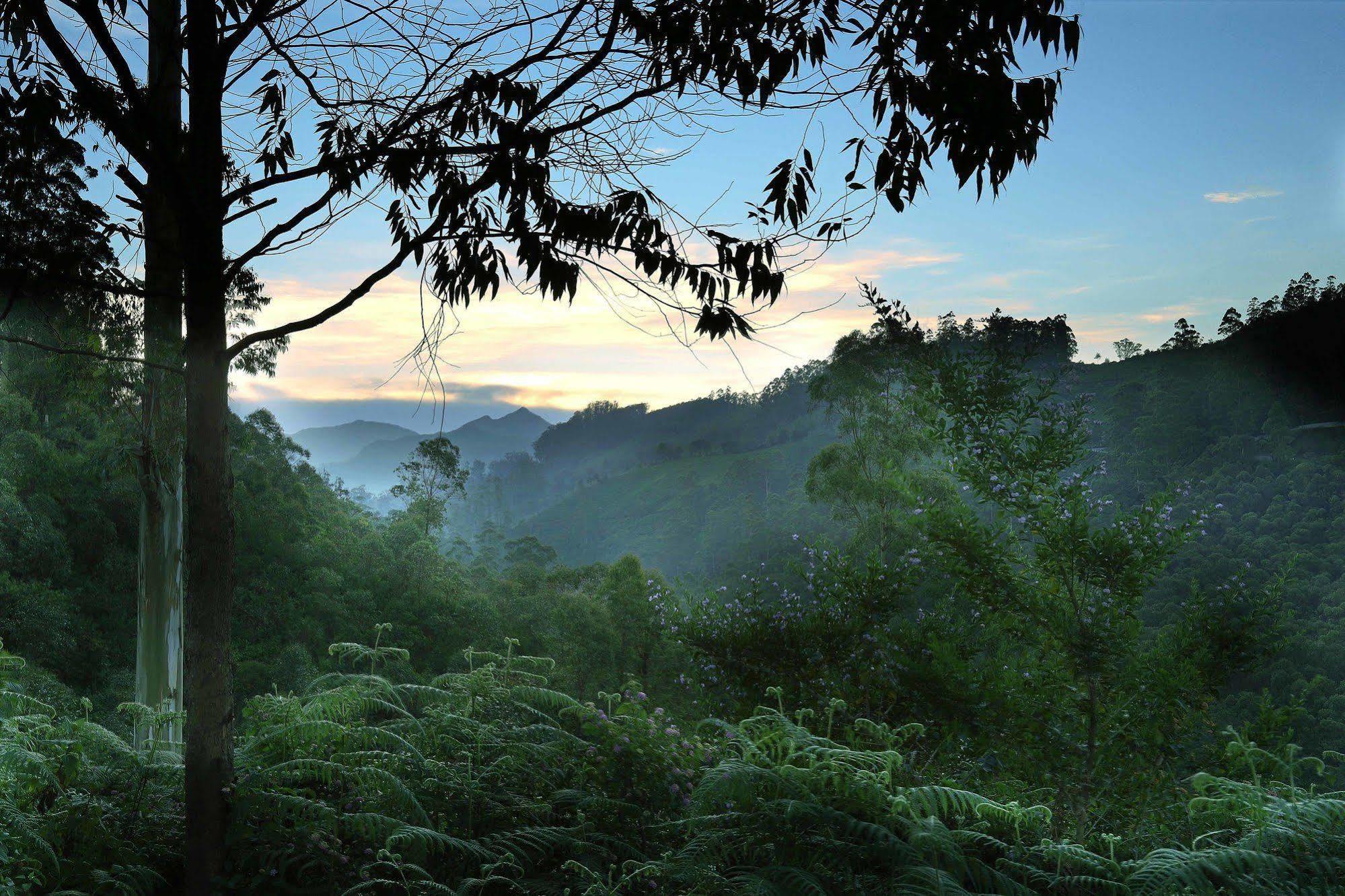 Elysium Garden Hotel Munnar Luaran gambar